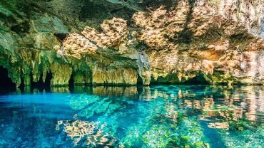 Los 5 Mejores Cenotes en Tulum para Nadar y Explorar