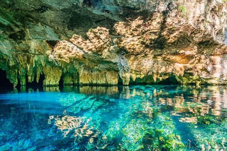 Los 5 Mejores Cenotes en Tulum para Nadar y Explorar