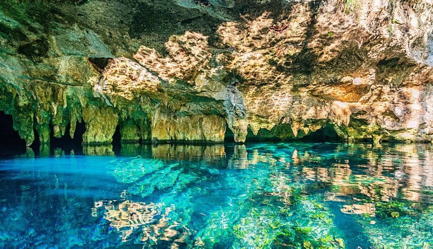 Los 5 Mejores Cenotes en Tulum para Nadar y Explorar