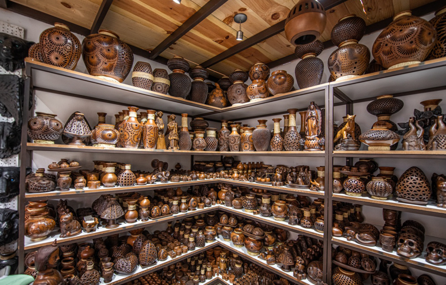 Monte Albán, Coyotepec y Alebrijes